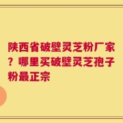 陕西省破壁灵芝粉厂家？哪里买破壁灵芝孢子粉最正宗