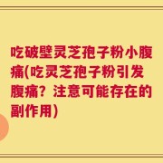吃破壁灵芝孢子粉小腹痛(吃灵芝孢子粉引发腹痛？注意可能存在的副作用)