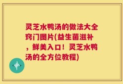 灵芝水鸭汤的做法大全窍门图片(益生菌滋补，鲜美入口！灵芝水鸭汤的全方位教程)