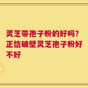 灵芝带孢子粉的好吗？正信破壁灵芝孢子粉好不好