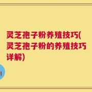 灵芝孢子粉养殖技巧(灵芝孢子粉的养殖技巧详解)
