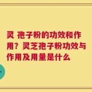 灵 孢子粉的功效和作用？灵芝孢子粉功效与作用及用量是什么