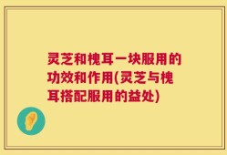 灵芝和槐耳一块服用的功效和作用(灵芝与槐耳搭配服用的益处)