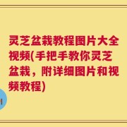 灵芝盆栽教程图片大全视频(手把手教你灵芝盆栽，附详细图片和视频教程)