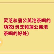 灵芝和蒲公英泡茶喝的功效(灵芝和蒲公英泡茶喝的好处)
