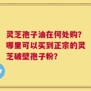 灵芝孢子油在何处购？哪里可以买到正宗的灵芝破壁孢子粉？
