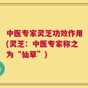 中医专家灵芝功效作用(灵芝：中医专家称之为“仙草”)