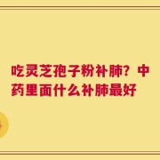 吃灵芝孢子粉补肺？中药里面什么补肺最好