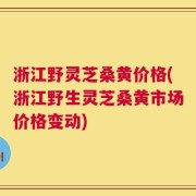 浙江野灵芝桑黄价格(浙江野生灵芝桑黄市场价格变动)