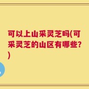 可以上山采灵芝吗(可采灵芝的山区有哪些？)