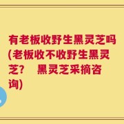 有老板收野生黑灵芝吗(老板收不收野生黑灵芝？  黑灵芝采摘咨询)