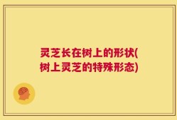 灵芝长在树上的形状(树上灵芝的特殊形态)