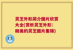 灵芝外形简介图片欣赏大全(赏析灵芝外形：精美的灵芝图片集锦)