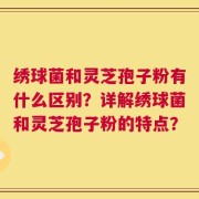 绣球菌和灵芝孢子粉有什么区别？详解绣球菌和灵芝孢子粉的特点？