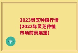 2023灵芝种植行情(2023年灵芝种植市场前景展望)