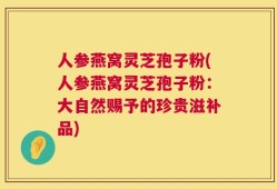 人参燕窝灵芝孢子粉(人参燕窝灵芝孢子粉：大自然赐予的珍贵滋补品)