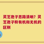 灵芝孢子思路清晰？灵芝孢子粉有机和无机的区别