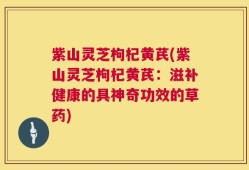 紫山灵芝枸杞黄芪(紫山灵芝枸杞黄芪：滋补健康的具神奇功效的草药)