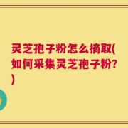 灵芝孢子粉怎么摘取(如何采集灵芝孢子粉？)