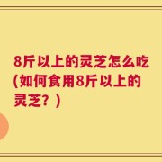 8斤以上的灵芝怎么吃(如何食用8斤以上的灵芝？)