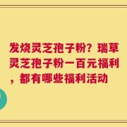 发烧灵芝孢子粉？瑞草灵芝孢子粉一百元福利，都有哪些福利活动