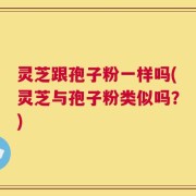 灵芝跟孢子粉一样吗(灵芝与孢子粉类似吗？)