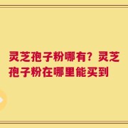 灵芝孢子粉哪有？灵芝孢子粉在哪里能买到
