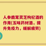 人参鹿茸灵芝枸杞酒的作用(五味药材酒，提升免疫力，缓解疲劳)