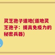 灵芝孢子道地(道地灵芝孢子：提高免疫力的秘密兵器)