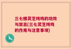 三七根灵芝炖鸡的功效与禁忌(三七灵芝炖鸡的作用与注意事项)
