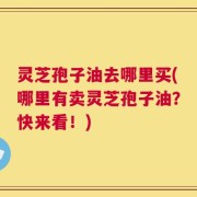 灵芝孢子油去哪里买(哪里有卖灵芝孢子油？快来看！)