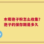 木霉孢子粉怎么收集？孢子的保存期是多久