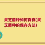 灵芝菌种如何保存(灵芝菌种的保存方法)