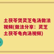 土茯苓煲灵芝龟汤做法视频(做法分享：灵芝土茯苓龟肉汤视频)