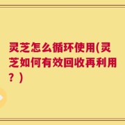 灵芝怎么循环使用(灵芝如何有效回收再利用？)