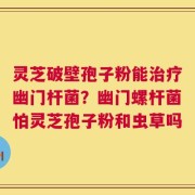 灵芝破壁孢子粉能治疗幽门杆菌？幽门螺杆菌怕灵芝孢子粉和虫草吗