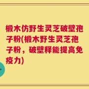 椴木仿野生灵芝破壁孢子粉(椴木野生灵芝孢子粉，破壁释能提高免疫力)