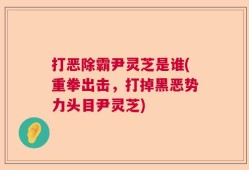 打恶除霸尹灵芝是谁(重拳出击，打掉黑恶势力头目尹灵芝)