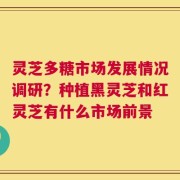 灵芝多糖市场发展情况调研？种植黑灵芝和红灵芝有什么市场前景