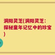 洞阳灵芝(洞阳灵芝：探秘童年记忆中的珍宝)