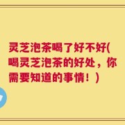 灵芝泡茶喝了好不好(喝灵芝泡茶的好处，你需要知道的事情！)