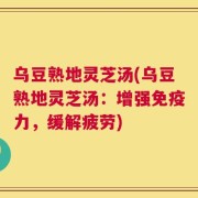 乌豆熟地灵芝汤(乌豆熟地灵芝汤：增强免疫力，缓解疲劳)