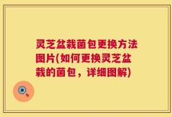 灵芝盆栽菌包更换方法图片(如何更换灵芝盆栽的菌包，详细图解)