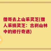 僧哥去上山采灵芝(僧人采摘灵芝：古刹山林中的修行奇遇)