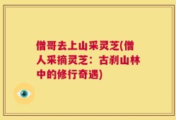 僧哥去上山采灵芝(僧人采摘灵芝：古刹山林中的修行奇遇)