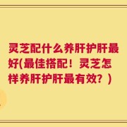 灵芝配什么养肝护肝最好(最佳搭配！灵芝怎样养肝护肝最有效？)