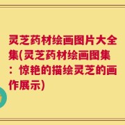 灵芝药材绘画图片大全集(灵芝药材绘画图集：惊艳的描绘灵芝的画作展示)