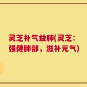 灵芝补气益肺(灵芝：强健肺部，滋补元气)