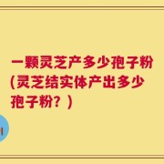 一颗灵芝产多少孢子粉(灵芝结实体产出多少孢子粉？)