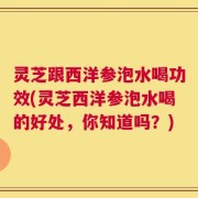 灵芝跟西洋参泡水喝功效(灵芝西洋参泡水喝的好处，你知道吗？)